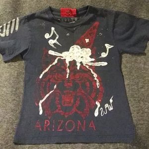 Custom painted UofA Wildcats Logo